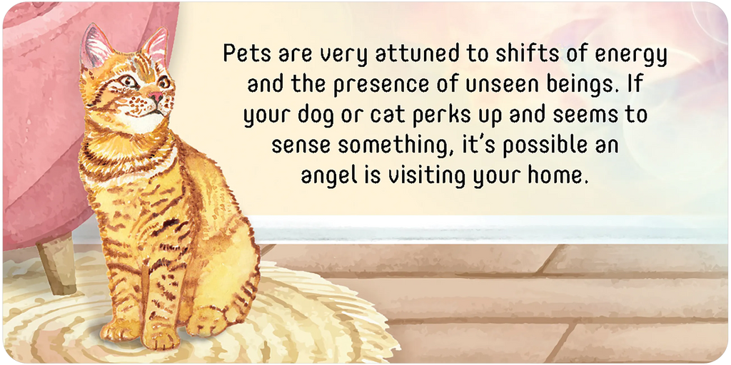 Angel Connections: 40 Message Cards