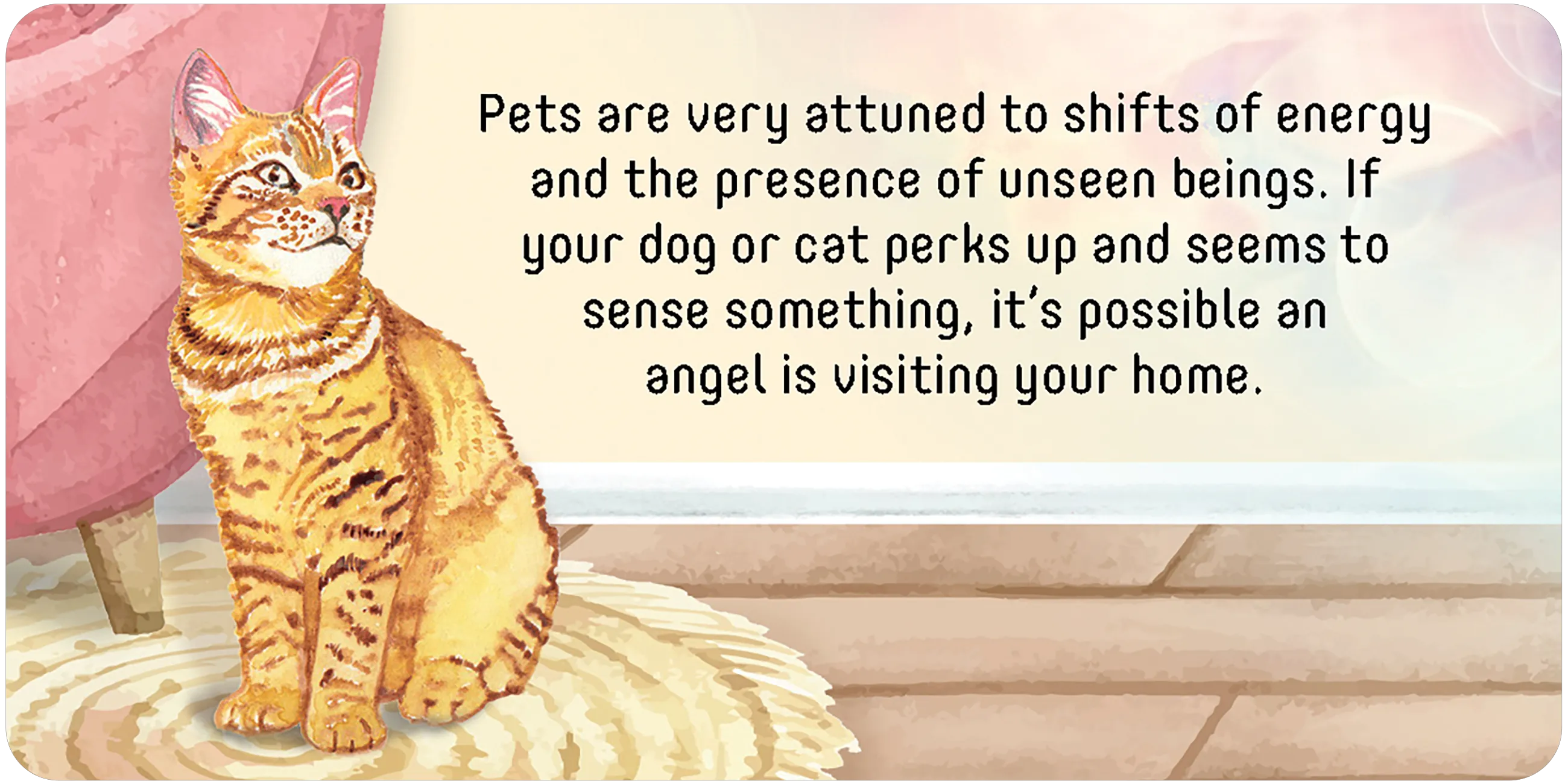 Angel Connections: 40 Message Cards