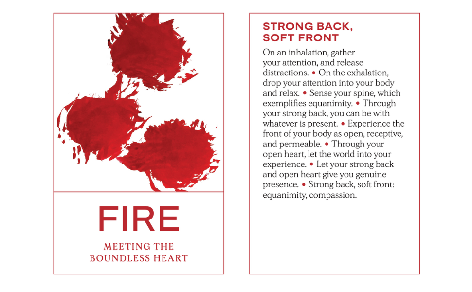 In a Moment, in a Breath: 55 Meditations to Cultivate a Courageous Heart