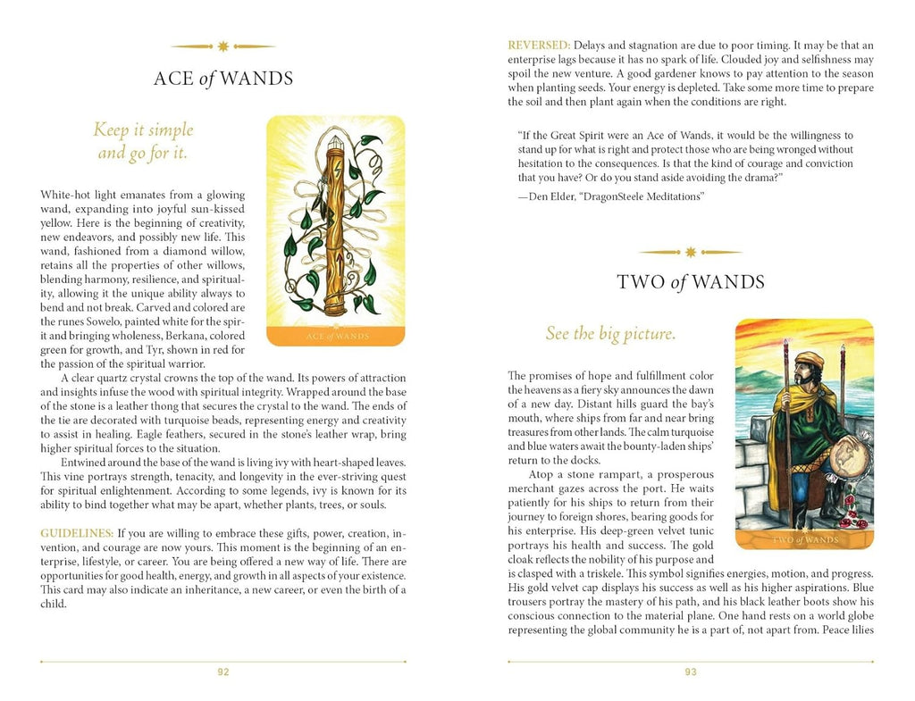 Steel Wizard Tarot: The Language of the Soul