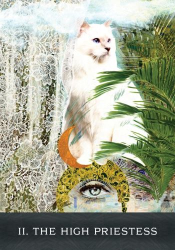 Grimalkin's Curious Cats Tarot An 80-Card Deck and Guidebook