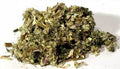 Mugwort Bulk