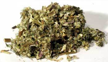 Mugwort Bulk
