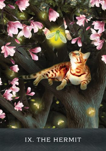 Grimalkin's Curious Cats Tarot An 80-Card Deck and Guidebook