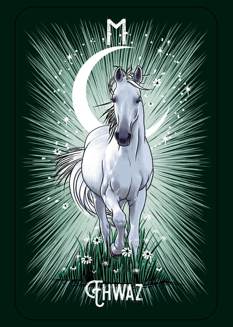 The Witch'„¢s Familiar Runic Oracle: A 24-Card Deck and Guidebook