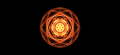 Sacral Chakra with Tammy: What is it and what does it do?