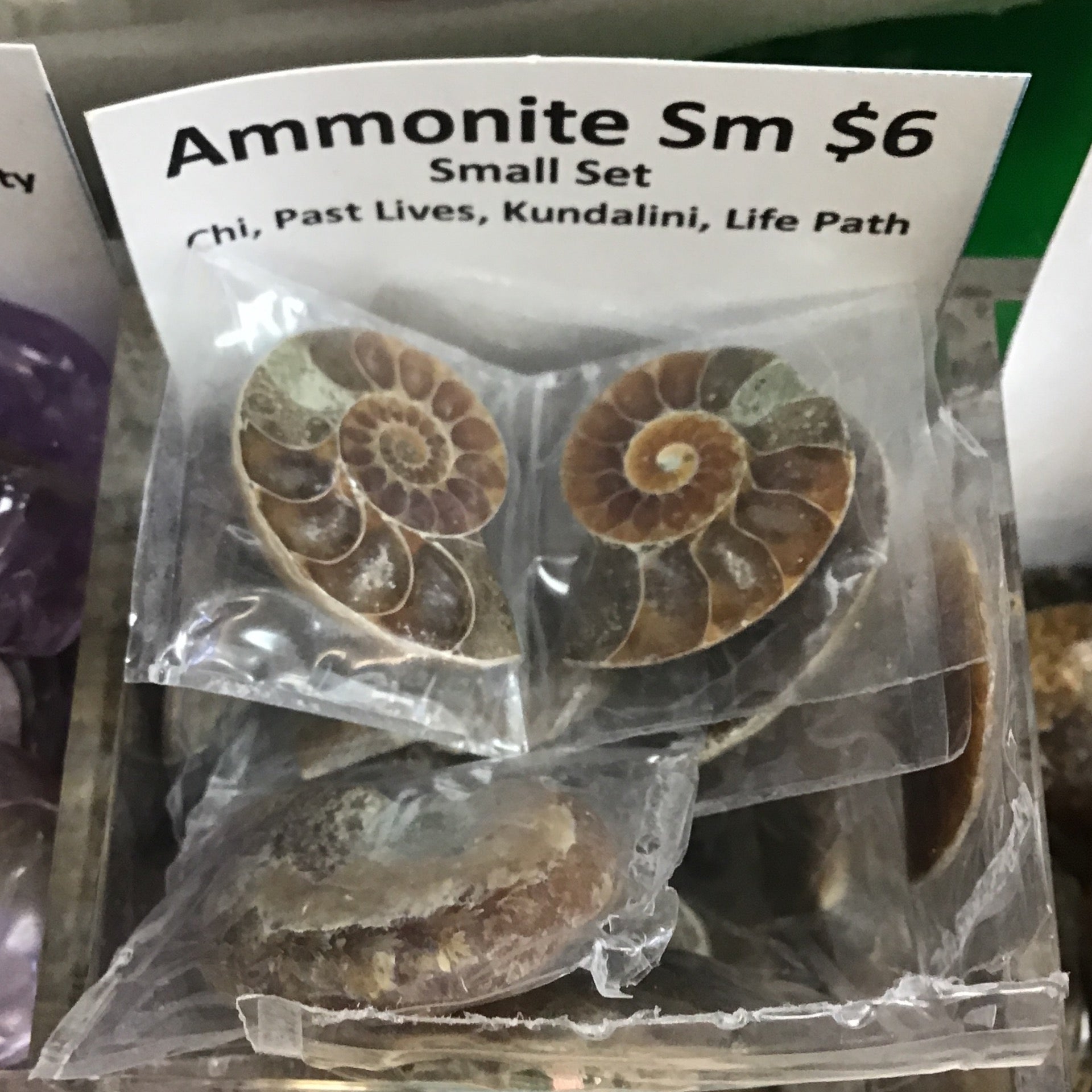 Tumbled Ammonite large