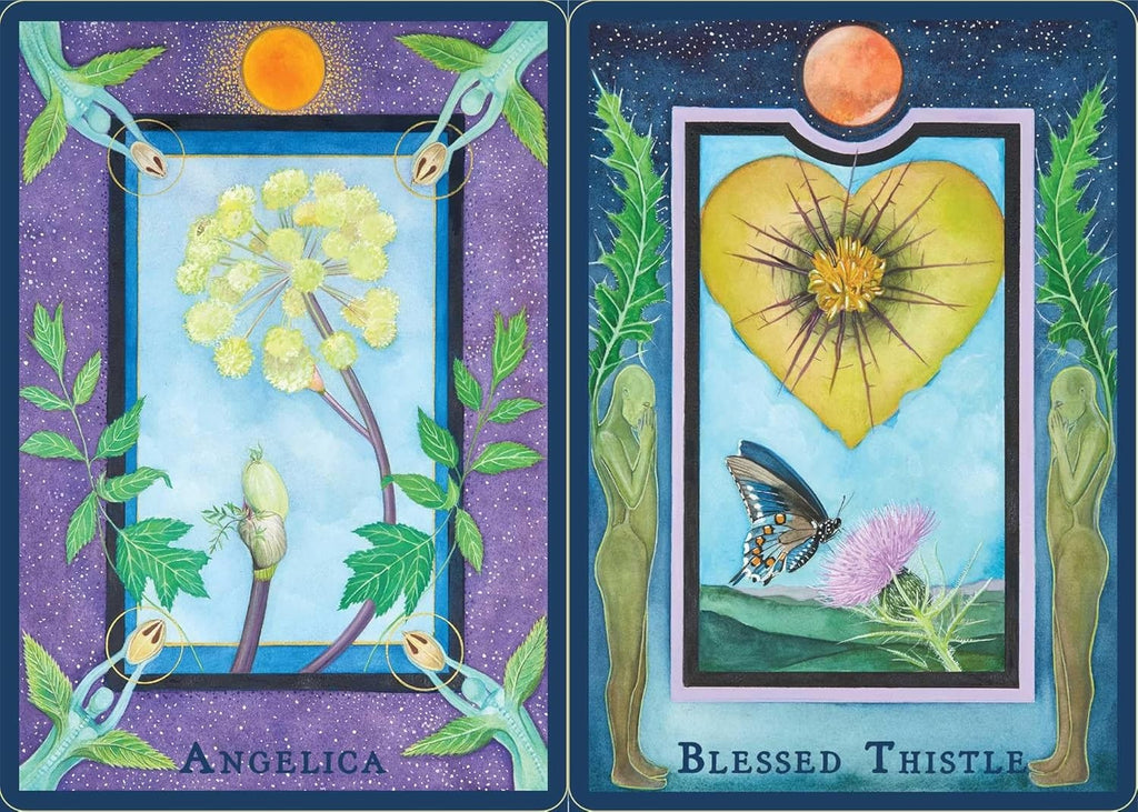 Plant Spirits Oracle: A 40-Card Deck and Guidebook