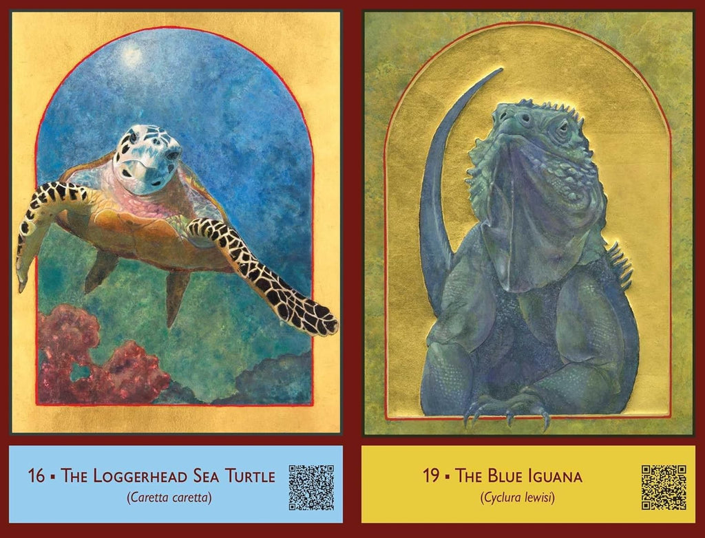 The Sacred Biodiversity Oracle: A 36-Card Deck and Guidebook
