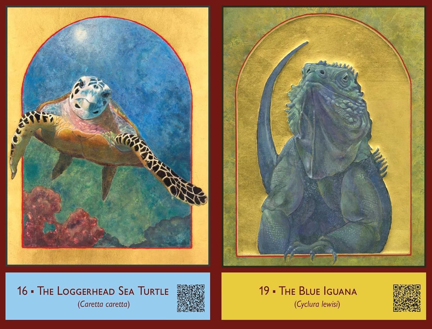 The Sacred Biodiversity Oracle: A 36-Card Deck and Guidebook