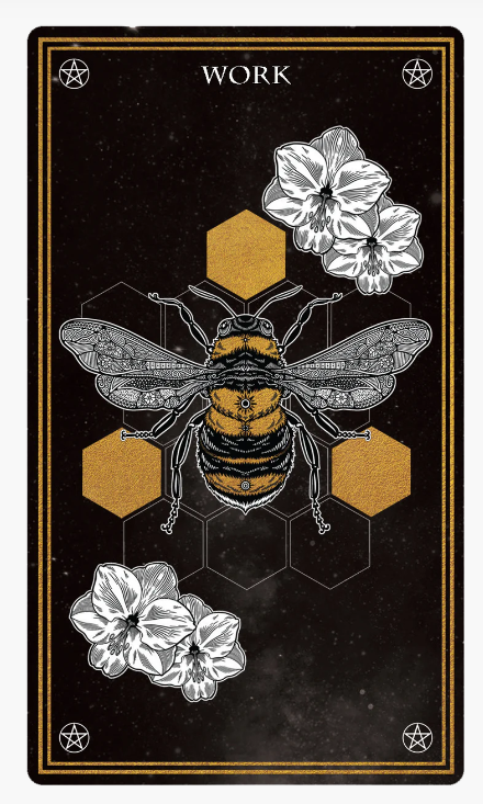 Wild Mystic Oracle Card Deck