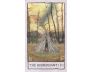 Mindscapes Tarot: An 80-Card Deck & Guidebook