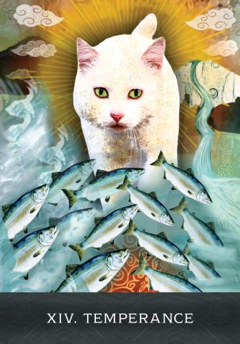 Grimalkin's Curious Cats Tarot An 80-Card Deck and Guidebook