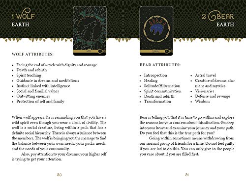 The Wild Elemental Oracle: (Oracle Kit Box Set with 44 Cards and Guide Book)