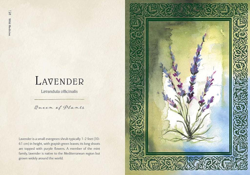 Wild Medicine: Tamed Wild'„¢s Illustrated Guide to the Magick of Herbs (Hardcover)