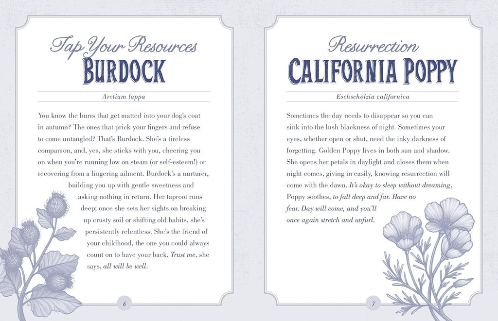 The Illustrated Herbiary Oracle Cards: 36-Card Deck of Bewitching Botanicals (Wild Wisdom) Cards