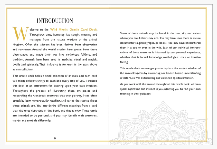 Wild Mystic Oracle Card Deck
