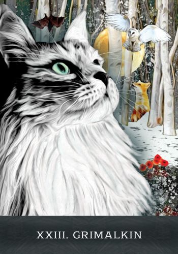Grimalkin's Curious Cats Tarot An 80-Card Deck and Guidebook
