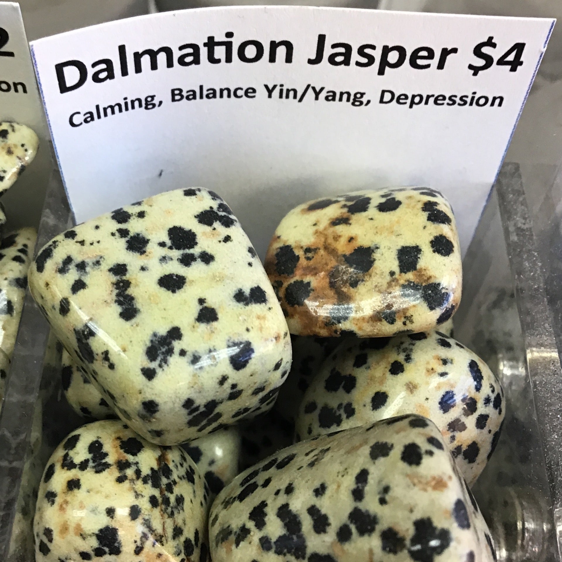 Tumbled Jasper Dalmation large