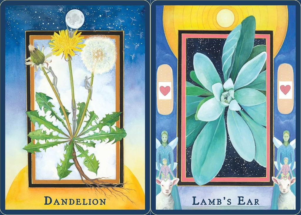 Plant Spirits Oracle: A 40-Card Deck and Guidebook