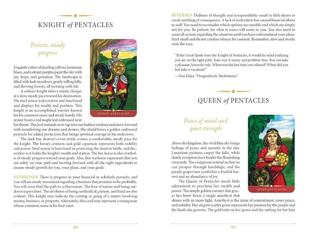 Steel Wizard Tarot: The Language of the Soul
