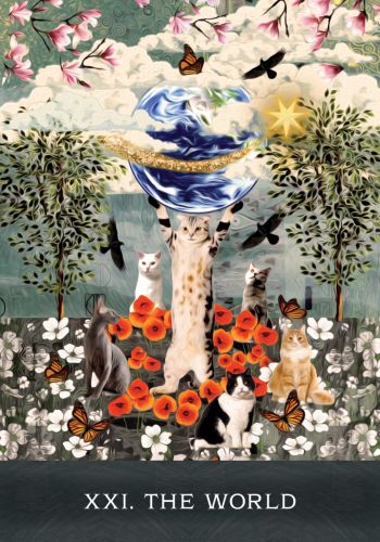 Grimalkin's Curious Cats Tarot An 80-Card Deck and Guidebook