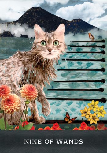 Grimalkin's Curious Cats Tarot An 80-Card Deck and Guidebook