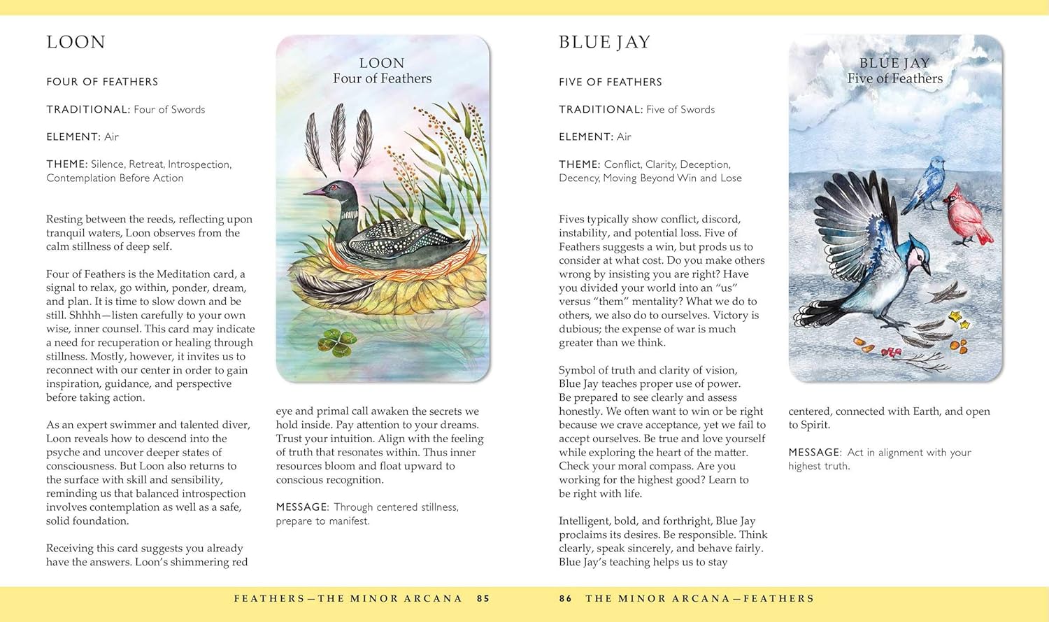 Spirit Animal Tarot: Includes an inspirational book and a full deck of specially commissioned tarot cards