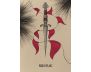 Fated: A Pocket Love Oracle A 13-Card Deck and Guidebook