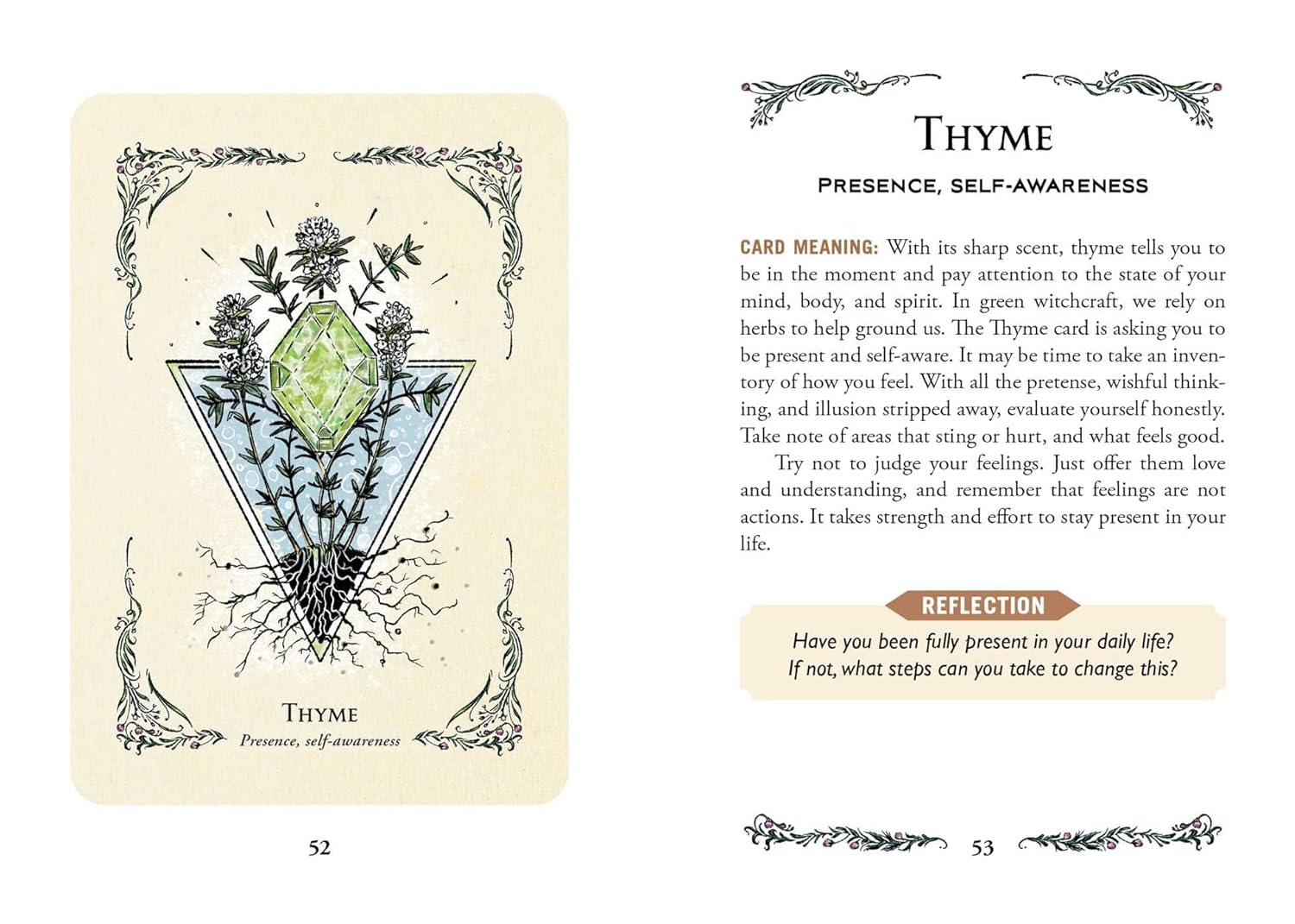 The Green Witch's Oracle Deck: Embrace the Wisdom and Insight of Natural Magic (Green Witch Witchcraft Series)