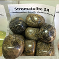 Tumbled Stromatolite
