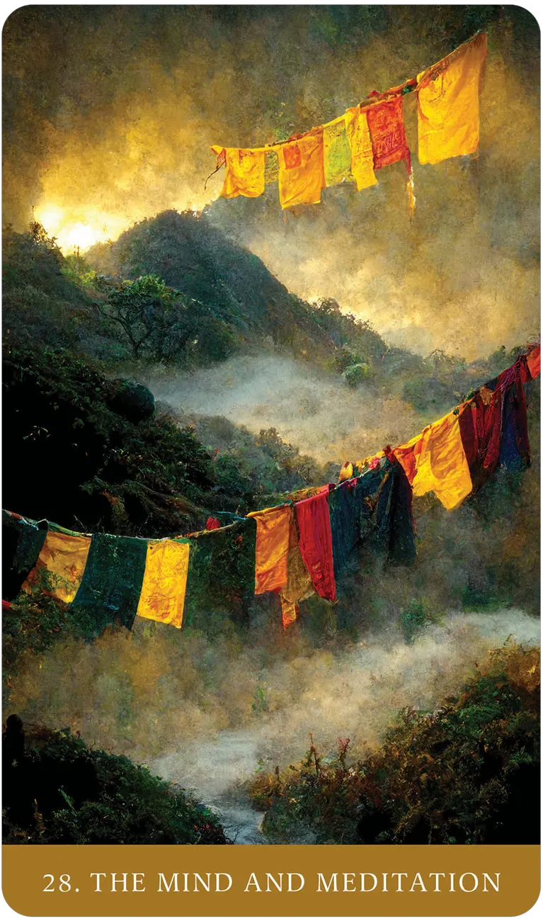The Path of Light Oracle