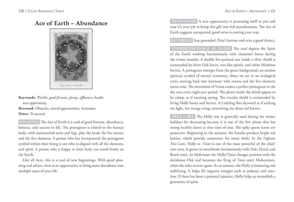 Celtic Elemental Tarot: 78-Card Deck and Book