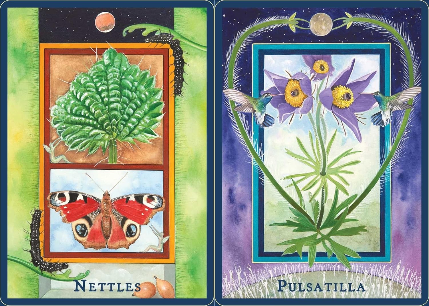 Plant Spirits Oracle: A 40-Card Deck and Guidebook
