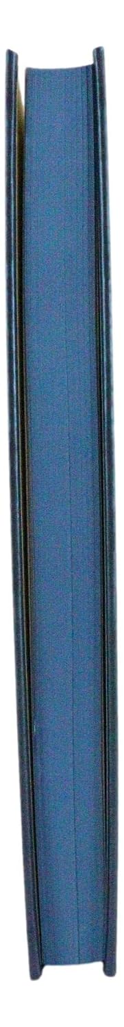 Dragon Storm Blade Drake Embossed Hard Cover Journal - Ruth Thompson Fantasy Dragon Semi Iridescent Journal