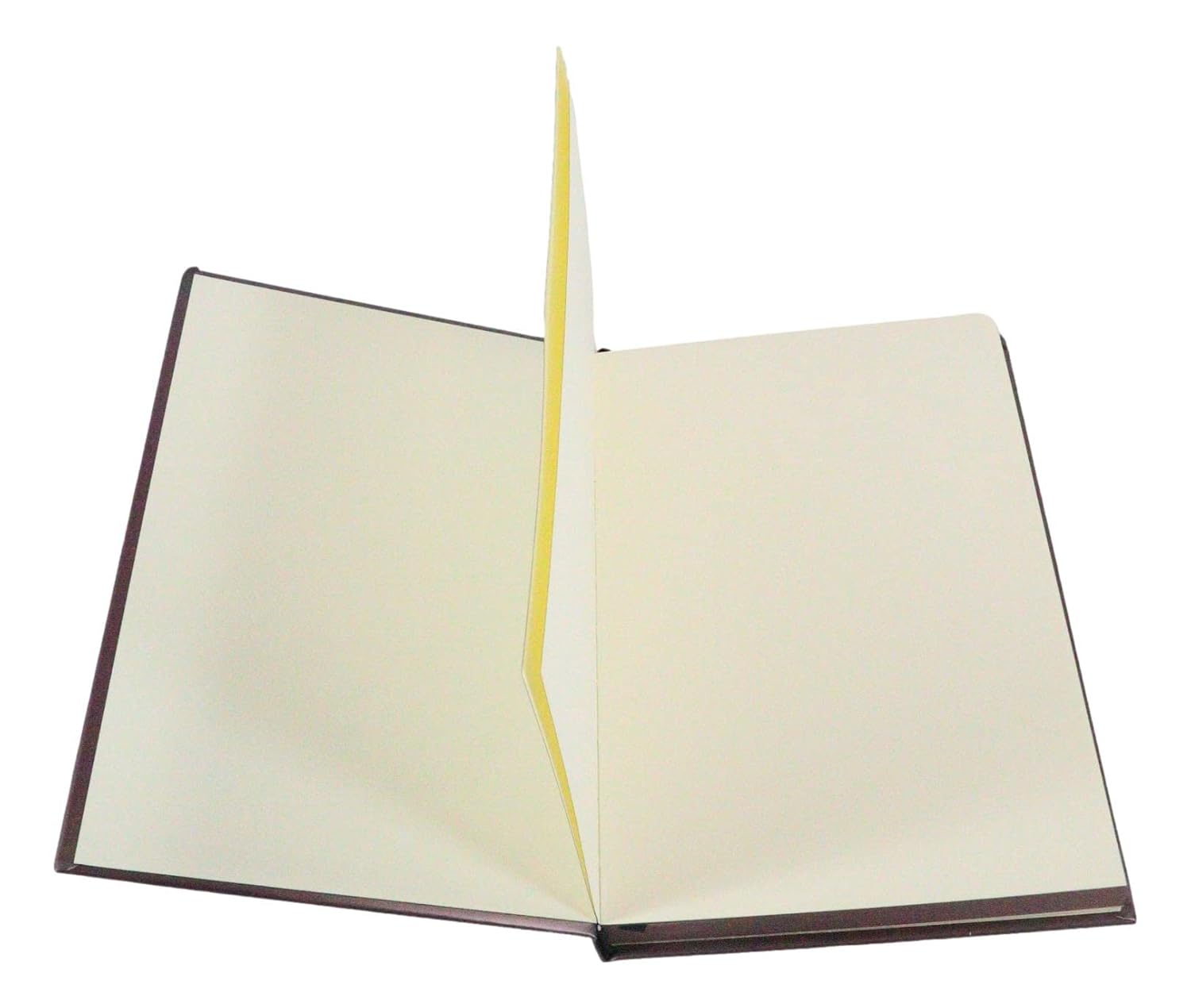 Dragon Thunder Blade Drake Embossed Hard Cover Journal - Ruth Thompson Fantasy Dragon Semi Iridescent Journal