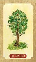 Tree of Life Oracle By Elaine Clayton
