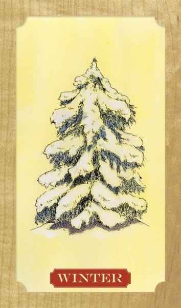 Tree of Life Oracle By Elaine Clayton