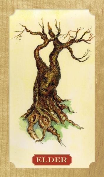 Tree of Life Oracle By Elaine Clayton