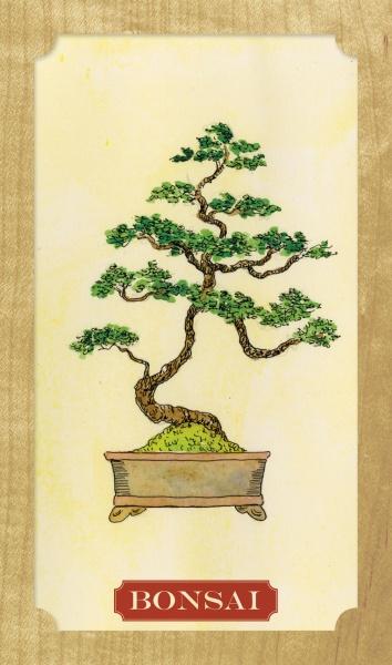 Tree of Life Oracle By Elaine Clayton