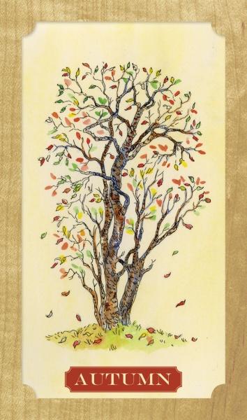 Tree of Life Oracle By Elaine Clayton