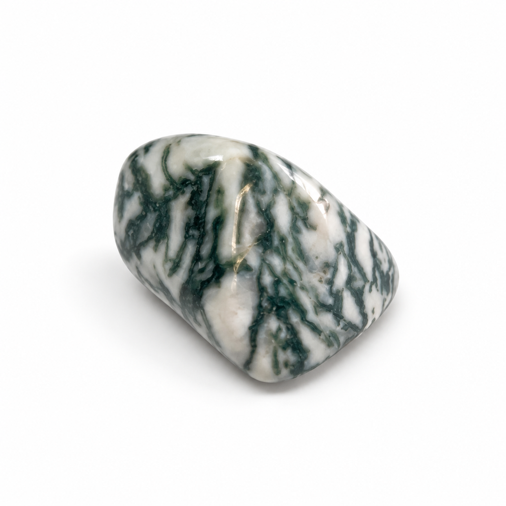 Polished Tree Agate with natural dark green branching patterns on white