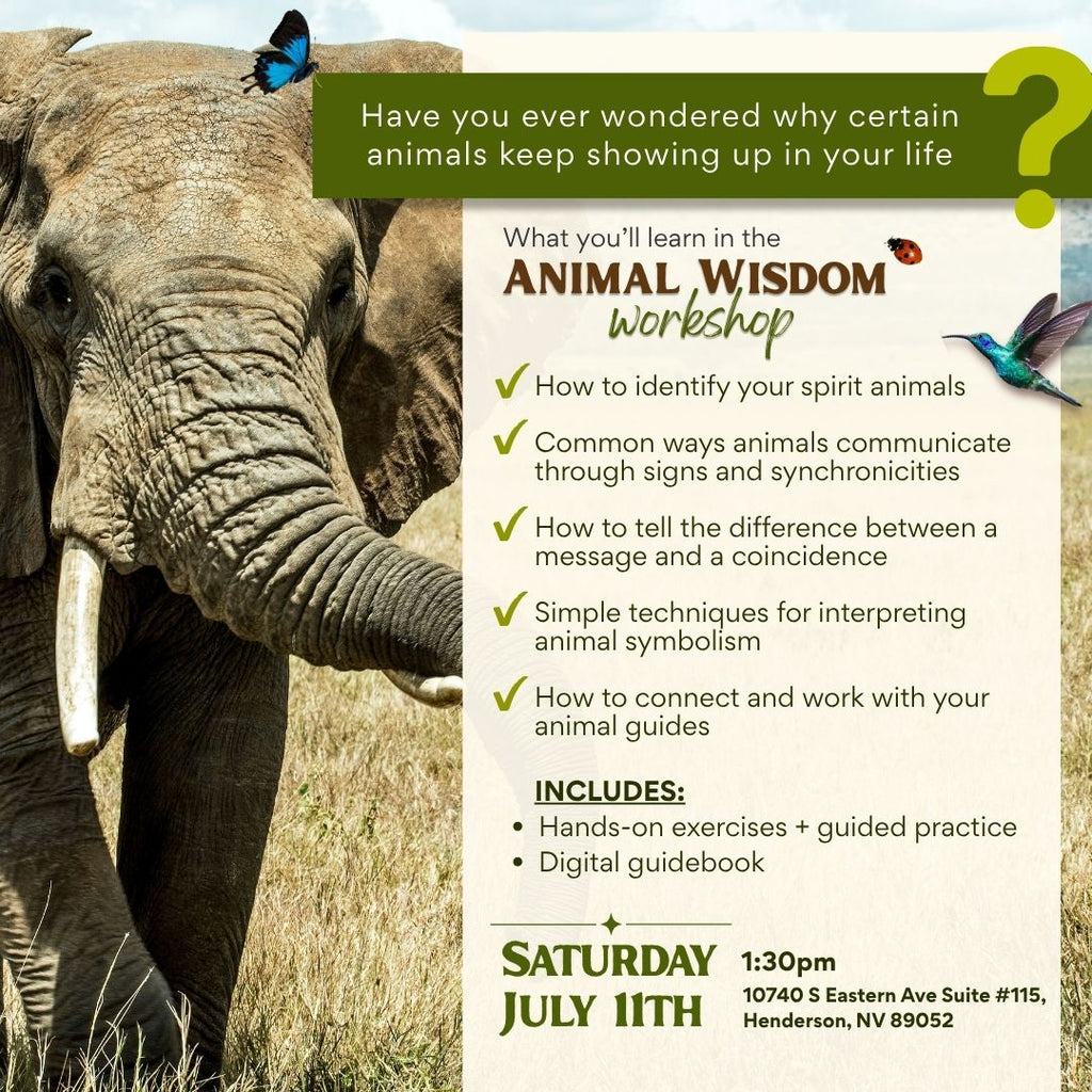 Animal Wisdom Workshop 7/11/26