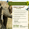 Animal Wisdom Workshop 7/11/26