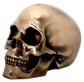 Bronzed Skull Statue Skeleton Figurine